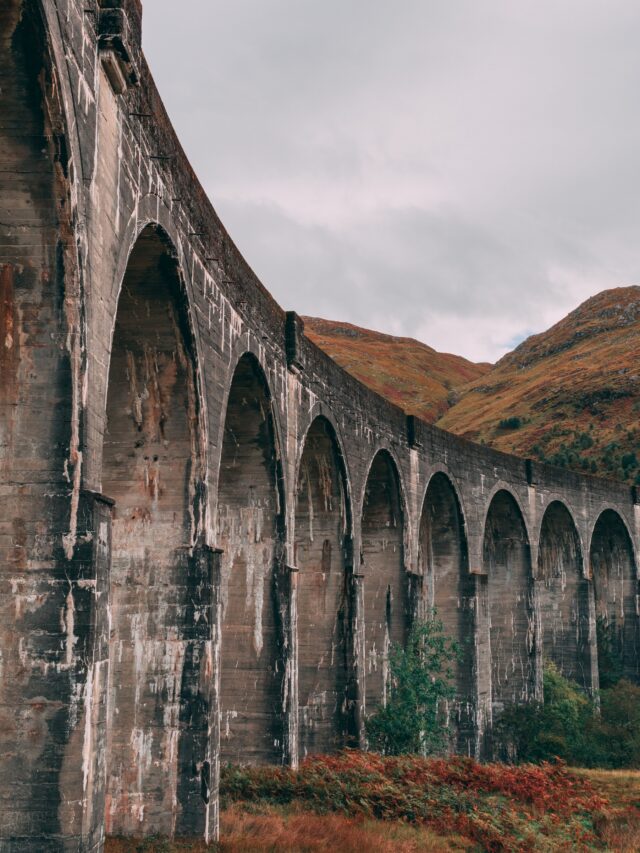 Hogwarts Legacy. The Best Tips and Secrets